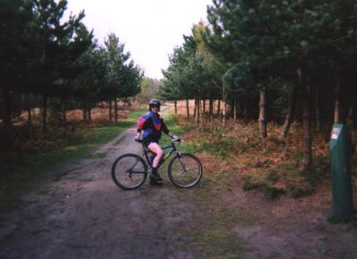 Sherwood Forest